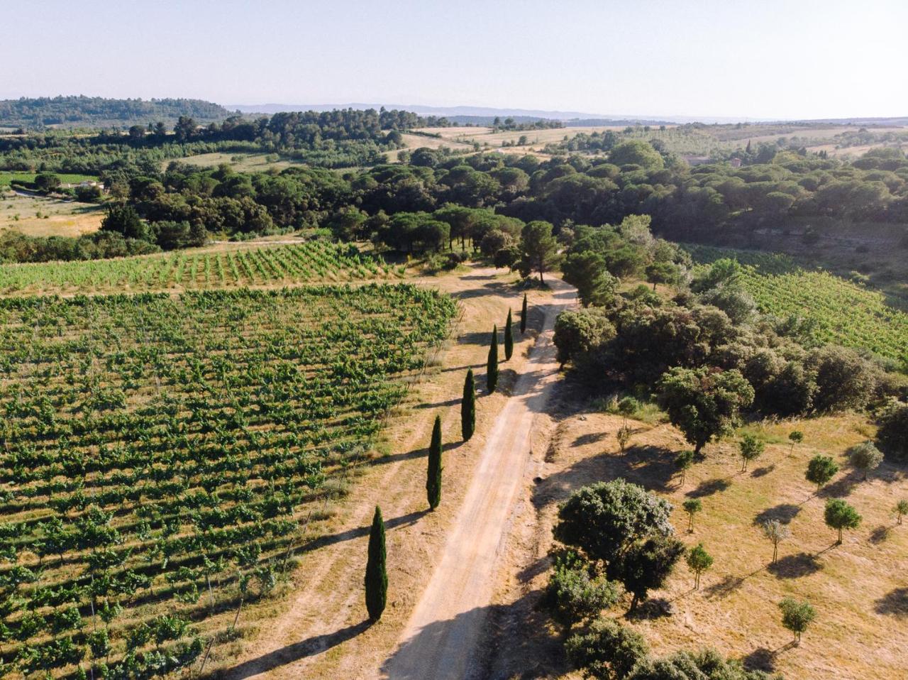 דירות Villegailhenc Domaine De Cazaban מראה חיצוני תמונה