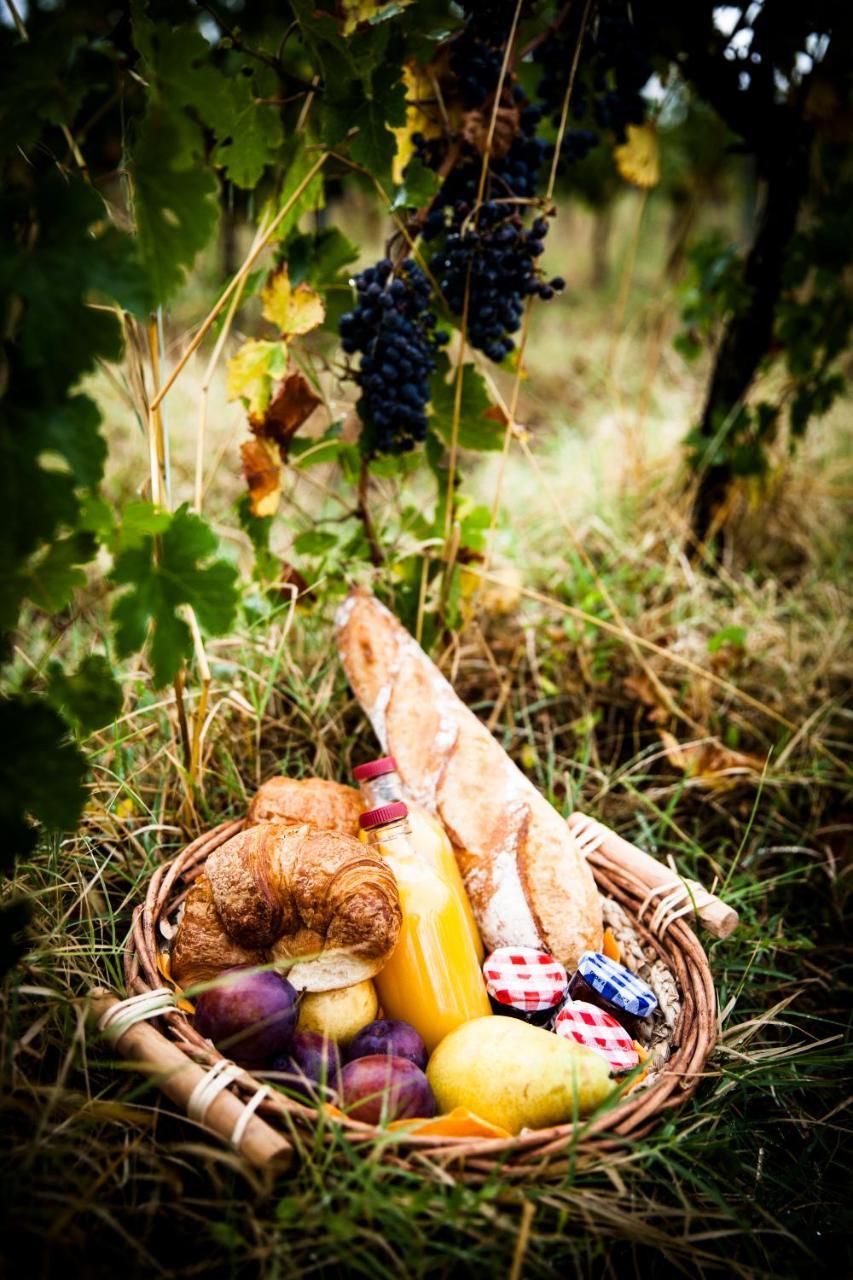 דירות Villegailhenc Domaine De Cazaban מראה חיצוני תמונה